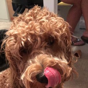 Meet your Posher, Teri